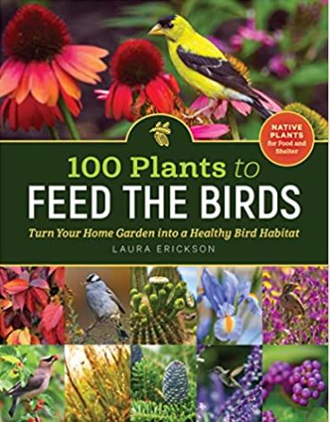 100 Plants to Feed the Birds Turn Your Home Garden into a Healthy Bird Habitat