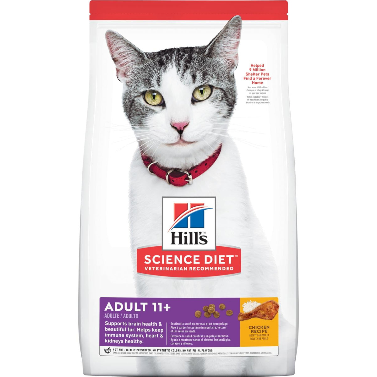 Cat food adult best sale