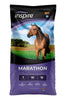 Blue Seal Inspire Marathon