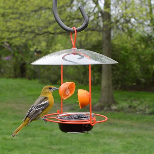 Nature's Way Wire Oriole Feeder