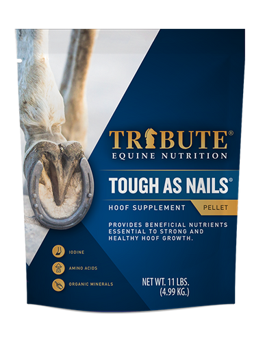 Tribute Tough As Nails®