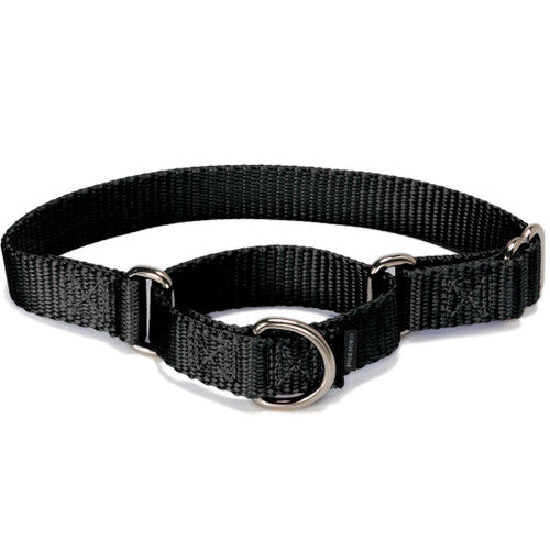 Fashion petsafe martingale