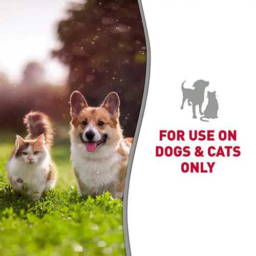 Nature's Miracle Skunk Odor Control Shampoo and Conditioner - Citrus