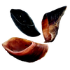 Jones Natural Hooves (Beef Hooves)