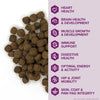 Kent Blue Seal EnTrust® Healthy Adult Pork Meal & Barley Recipe