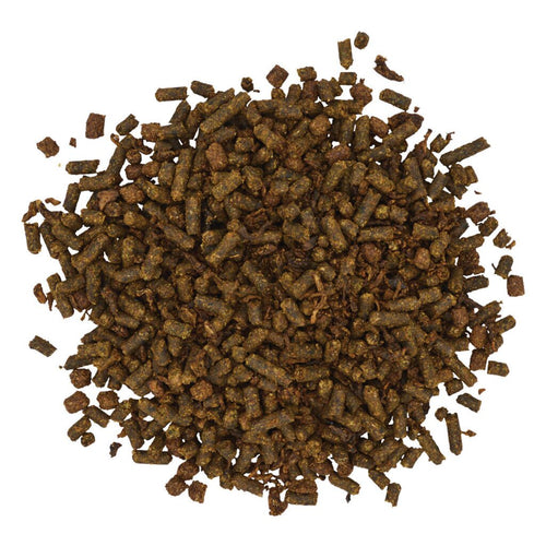 Blue Seal Sentinel XT Pro