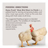 Kent Home Fresh Meat Bird Start to Finish