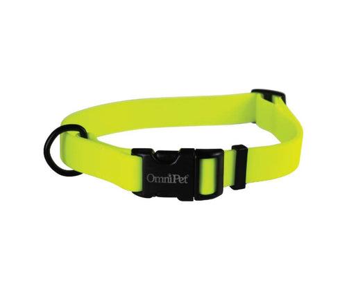 Omnipet Carnival Biothane Dog Collar