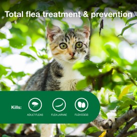 Advantage II Kitten Flea Treatment & Prevention