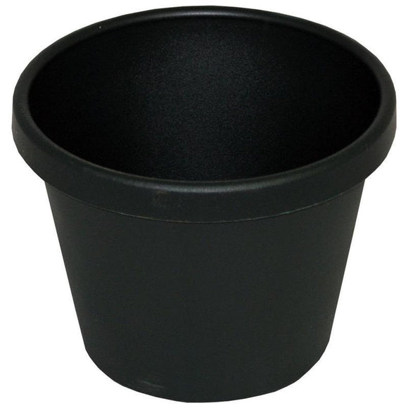 CLASSIC POT (6 INCH, EVERGREEN)