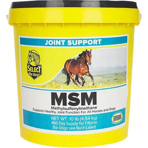 Select The Best MSM Joint Support Supplement (1 LB- 46 DAY)