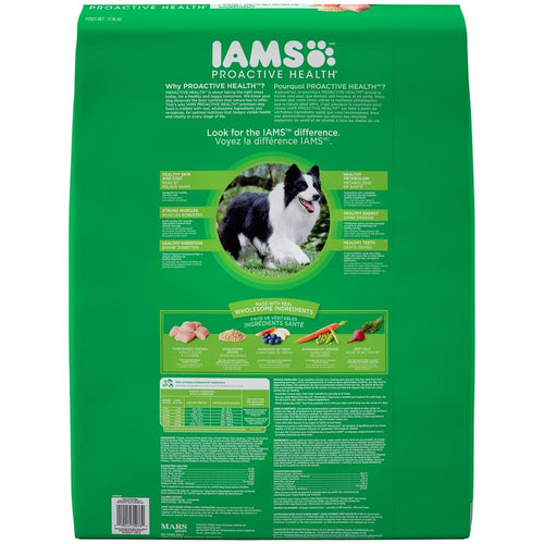 Iams proactive health fashion dog